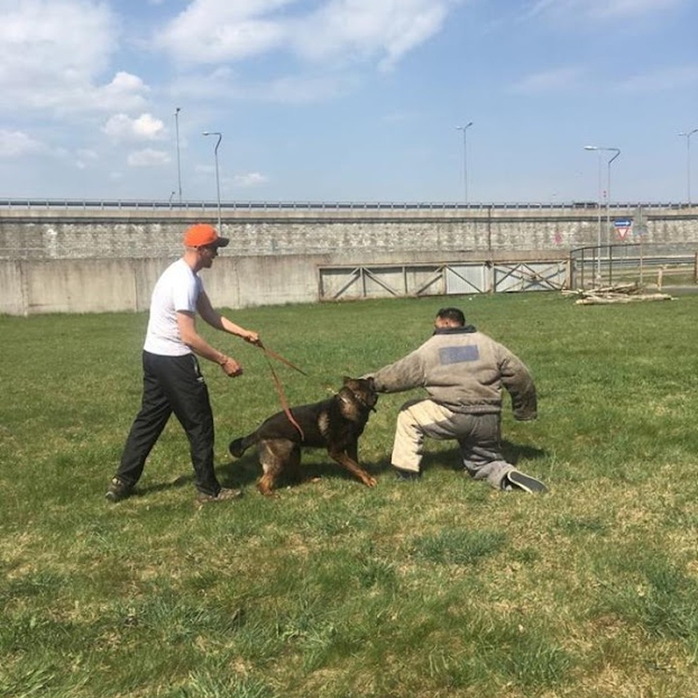 Rabid Dog Chase in Riga for Stag Party