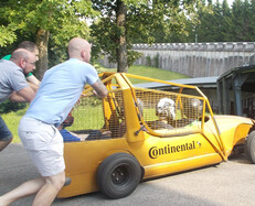 SUMMER TEAM BOBSLEIGH 2 RIDES PER PERSON